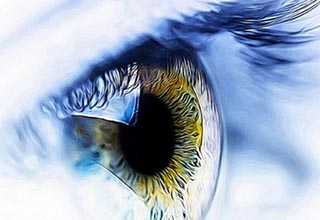Vision